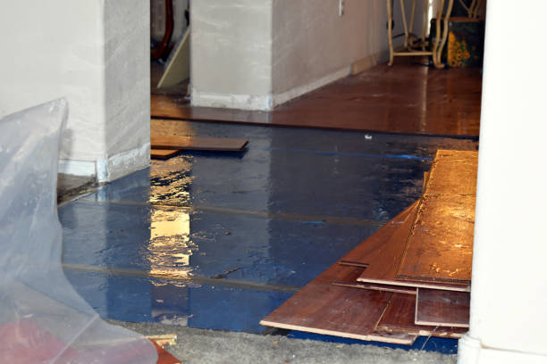 Professional Sewage Cleanup technician working in Casstown, OH